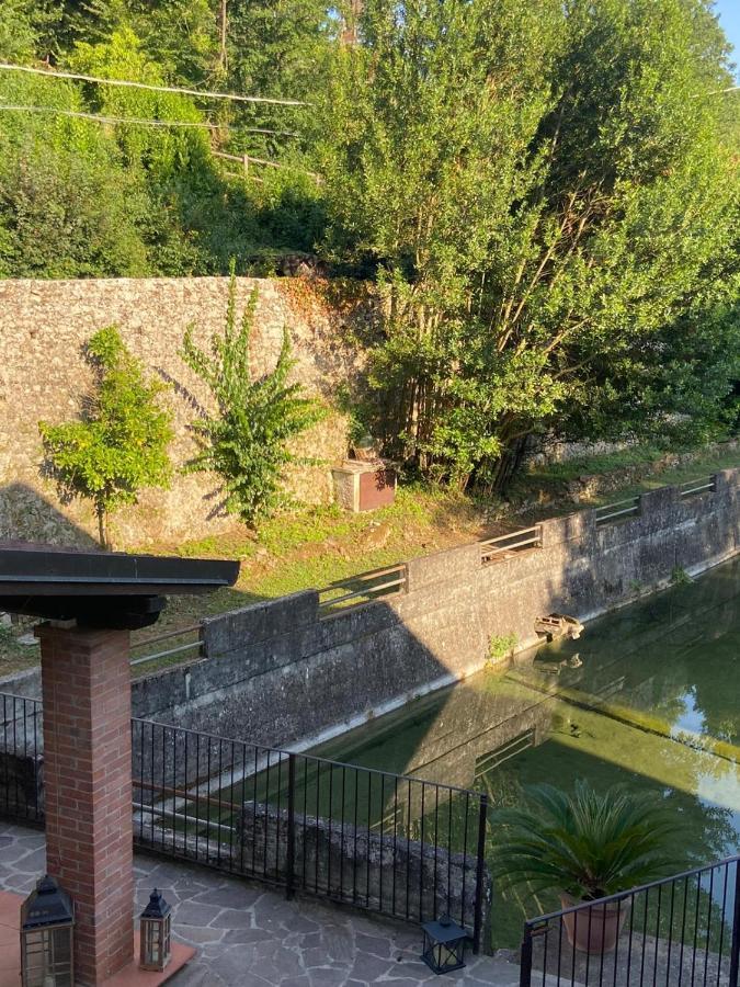 Tenerisognidori Camaiore Extérieur photo