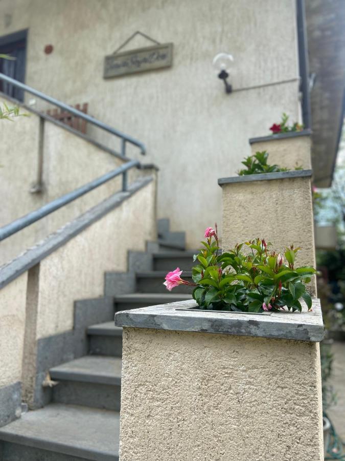 Tenerisognidori Camaiore Extérieur photo
